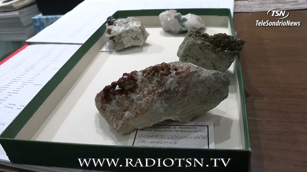 Minerali, l'inestimabile tesoro della Valmalenco