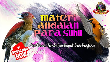 MASTERAN Tembakan Rapat Dan Panjang !! Materi Andalan Para Suhu