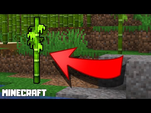Video: Cum împiedici creșterea bambusului în Minecraft?