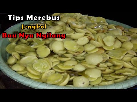 jengkol #hilangkanbaujengkol.. 