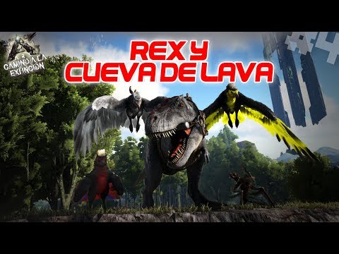 LAVA M 70 Video clips - 480 x 360 jpeg 44kB