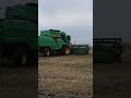 Комбайн Дон-1500 Б уборка яровой пшеницы. Новосибирская область