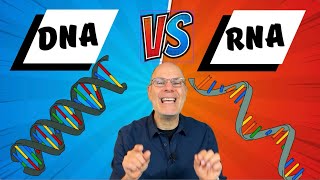 DNA v  RNA, full explanation for AP Bio Topics 1.5 -1.6 and 6.1