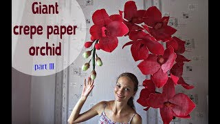 Giant paper orchid. Part 3. English subtitles