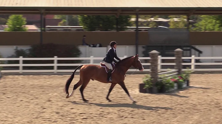 674 - Ann Russo - Ideal