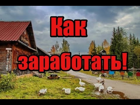 Как заработать в деревне! С чего начать чтобы сразу был доход! Как понять чего хотят люди! Куры и ??