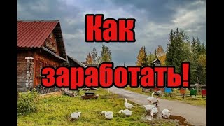 видео: Как заработать в деревне! С чего начать чтобы сразу был доход! Как понять чего хотят люди! Куры и ?? картинка: Как заработать в деревне! С чего начать чтобы сразу был доход! Как понять чего хотят люди! Куры и ??