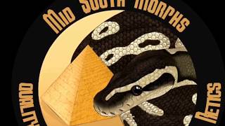 Famous Ball Python Breeding Plans:  2017-2018 Season Wealth