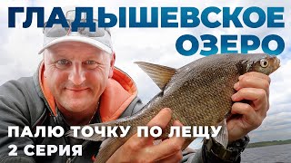 видео: Гладышевское озеро. Палю точку по лещу. Вторая серия картинка: Гладышевское озеро. Палю точку по лещу. Вторая серия