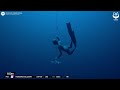 Silver medal cmas freediving world championship  marianna gillespie 100m bifns