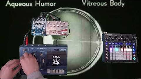 Animoscillator - It Entered - Happy Accidents [ Ambient Beat + Tape Loop ]