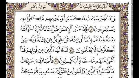 سورة الزمر بصوت الشيخ وديع اليمني
