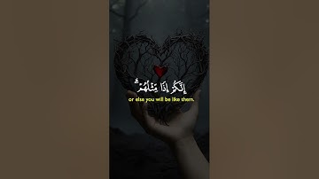 قرآن كريم راحة نفسية وسكينة #يارب #المصحف #اكسبلور #راحة_نفسية