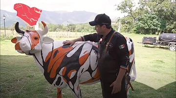 ¿Cuántos filetes salen de una vaca?