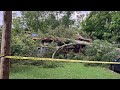Henry County man recalls moments after massive tree crashes down on his home