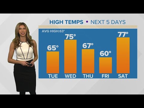 Houston Forecast: Rollercoaster weather coming with rain chances this ...