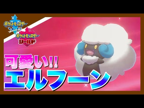 圧倒的女性人気 エルフーンの色違いが可愛すぎる ポケモン剣盾 Youtube