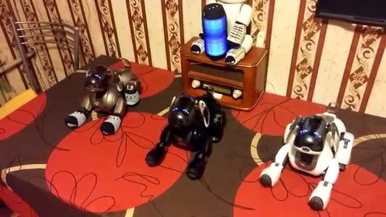Aibo ERS-7 Dance - YouTube