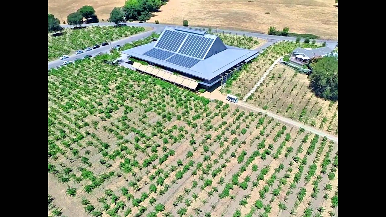 Ridge Winery - Lytton Springs East - Aerial Marketing Drone Video