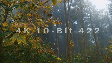 Panasonic GH5 10-Bit 422 Test | 4K