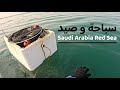 سباحة و صيد بعت السمك بسعر 