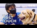 How A Dog Rebuilt A Blind Man's Life