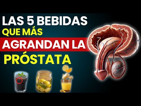 Las 5 Bebidas