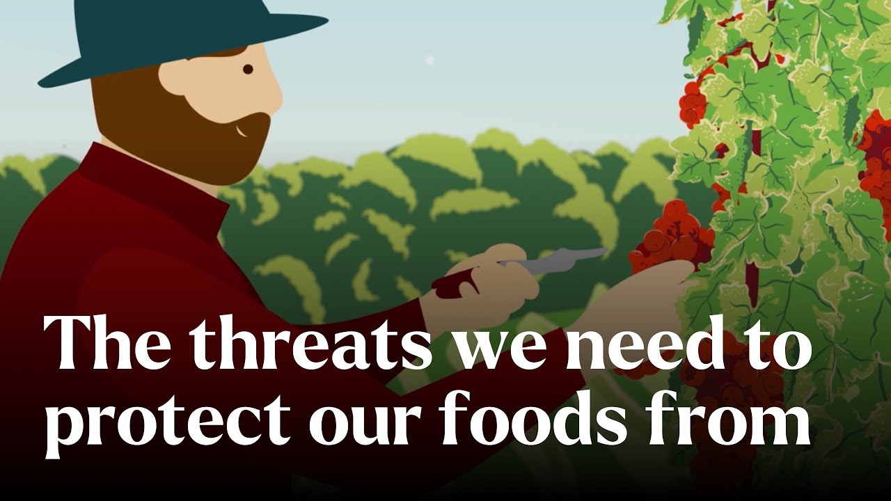 The Threats We Need To Protect Our Foods From - Nature's Building Blocks | BBC StoryWorks
