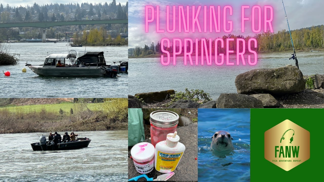 FANW - PLUNKING FOR SPRINGERS - YouTube