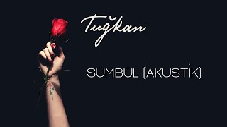 Tuğkan - Sümbül (Akustik) [Official Lyric Video]