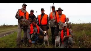 Introducing Pointer Wingshooting