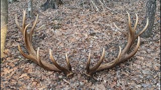 Kapitalna para 20-staka🌲🦌💪.zrzuty 2026