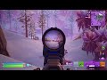 Fortnite Ps5 Pro