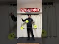 大道芸人の猿ゴリラ一般人