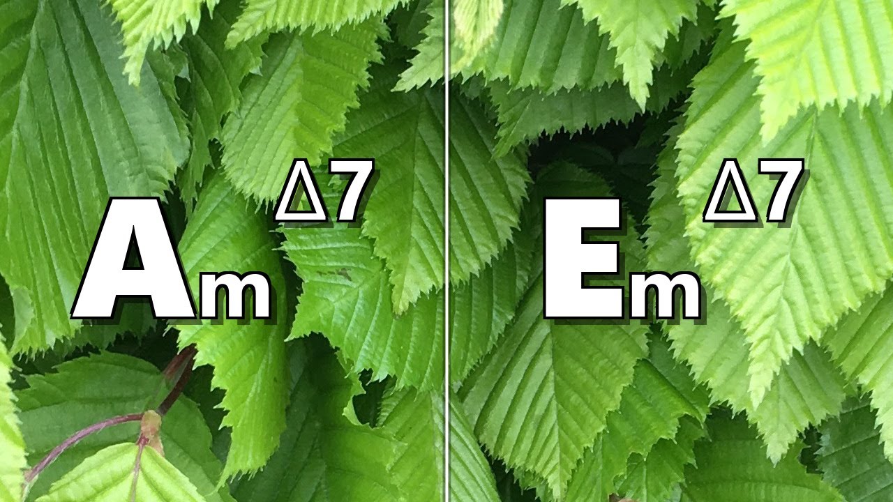 Am maj7 to Em maj7 Backing Track