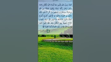 @القرآن الكريم بصوت الشيخ محمد الفقيه #سورة الفتح 2025