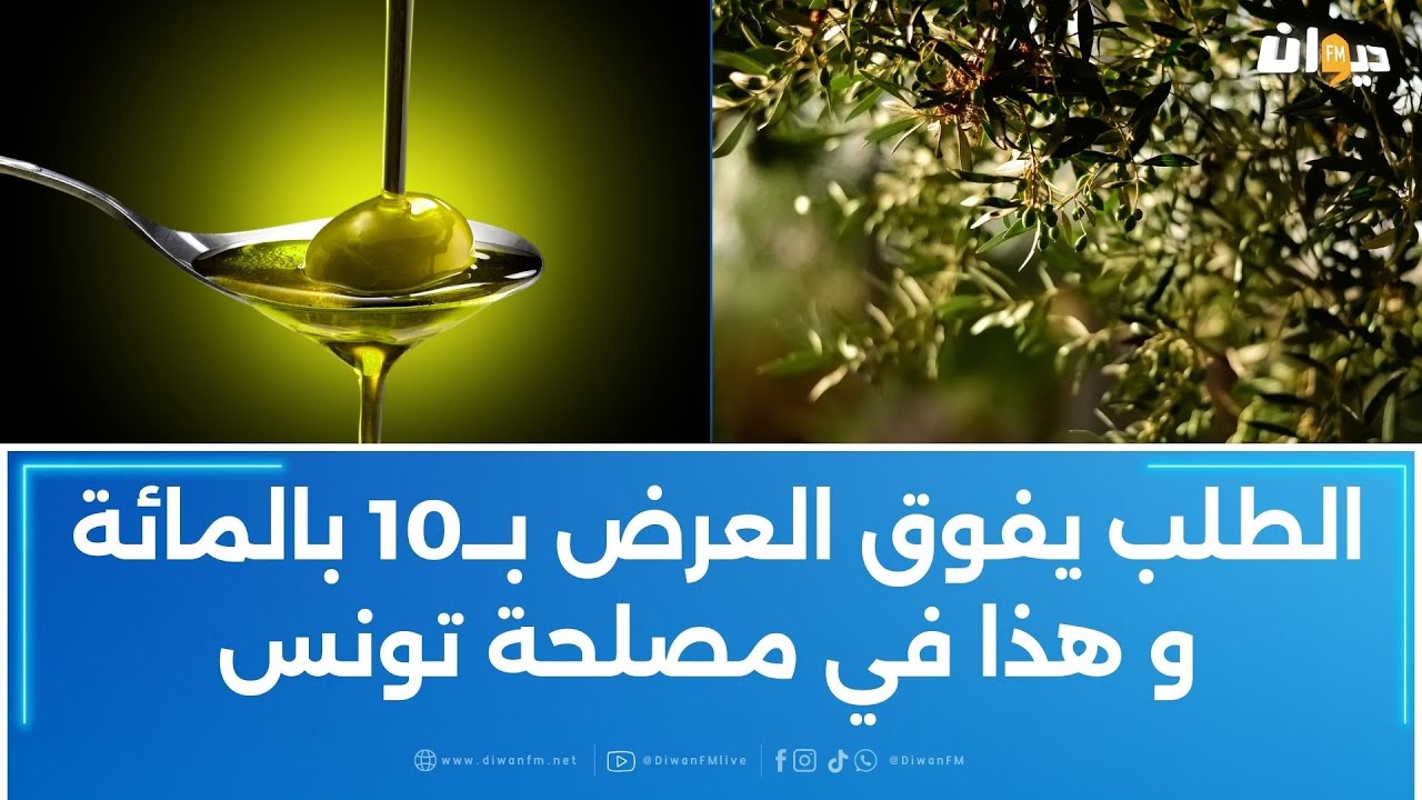 مهندس فلاحي يكشف :المجلس الدولي للزيتون حدّد السعر التقريبي للكغ من الزيت