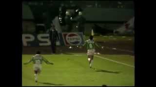 12 De Junho De 1993 - O Dia Da Paixão Palmeirense O Filme