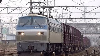 JR貨物 EF66-105 貨物列車 (5091レ ロクロク) JR東海道本線 清洲駅 貨物線