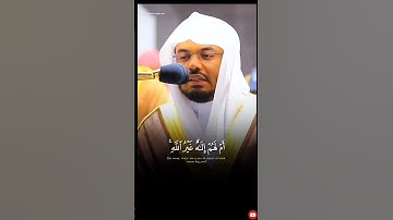 أم لهم إله غير الله - تلاوة بديعة خاشعة تفوق الوصف للشيخ ياسر الدوسري❤️