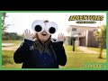 Adventures with Edu-Katie: Nocturnal Animals