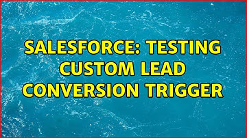 Salesforce: Testing Custom Lead Conversion Trigger
