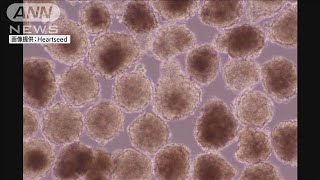 慶應発iPS心不全の新治療　3年後実用化へ(2021年6月1日)