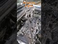 install elantra engine