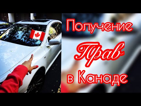 Видео: Как мне сдать тест g1 в Онтарио?