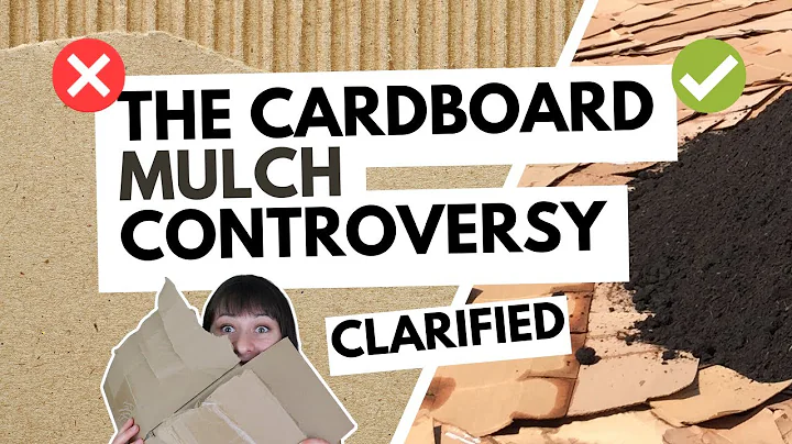 How to use cardboard in your landscaping 🪴 Landscape designer explains cardboard mulch