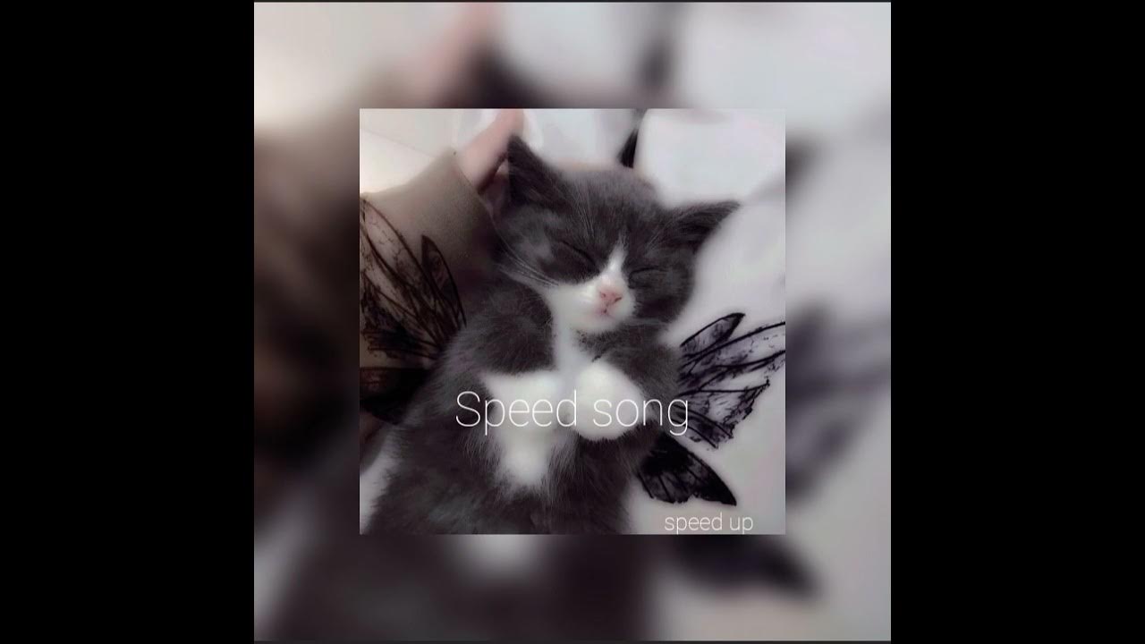 Песня может то было любовью speed up. Песня может то было любовью speed up
