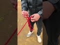 Master Knots in 3 Easy Steps! 🎉 Knot Knot Tutorial Knot-Tying Tips