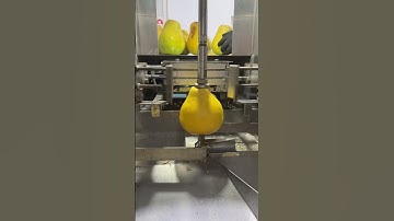 Fruit peeling process - Goodtools and machinery make work easy