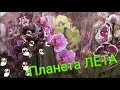 Ох и Ах! Обзор Планета ЛЕТА🌸 От Красоты ОРХИДЕЙ Кружится голова, цена зашкаливает, что будет дальше?